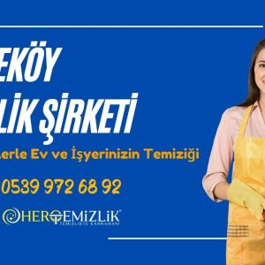 Çekmeköy Temizlik Şirketi: Güvenilir Ellerle Ev ve İşyerinizin Temiziği 2024