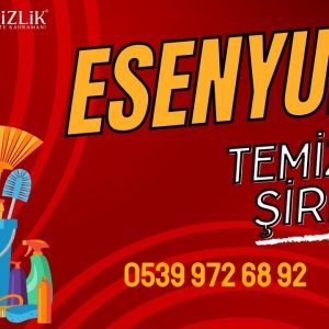 Esenyurt Temizlik Şirketi: Profesyonel Temiz Şirketi ve Uygun Fiyatlı Hizmet